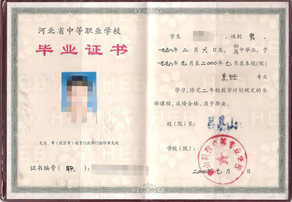 中专毕业证样本解析：学历与能力的见证
